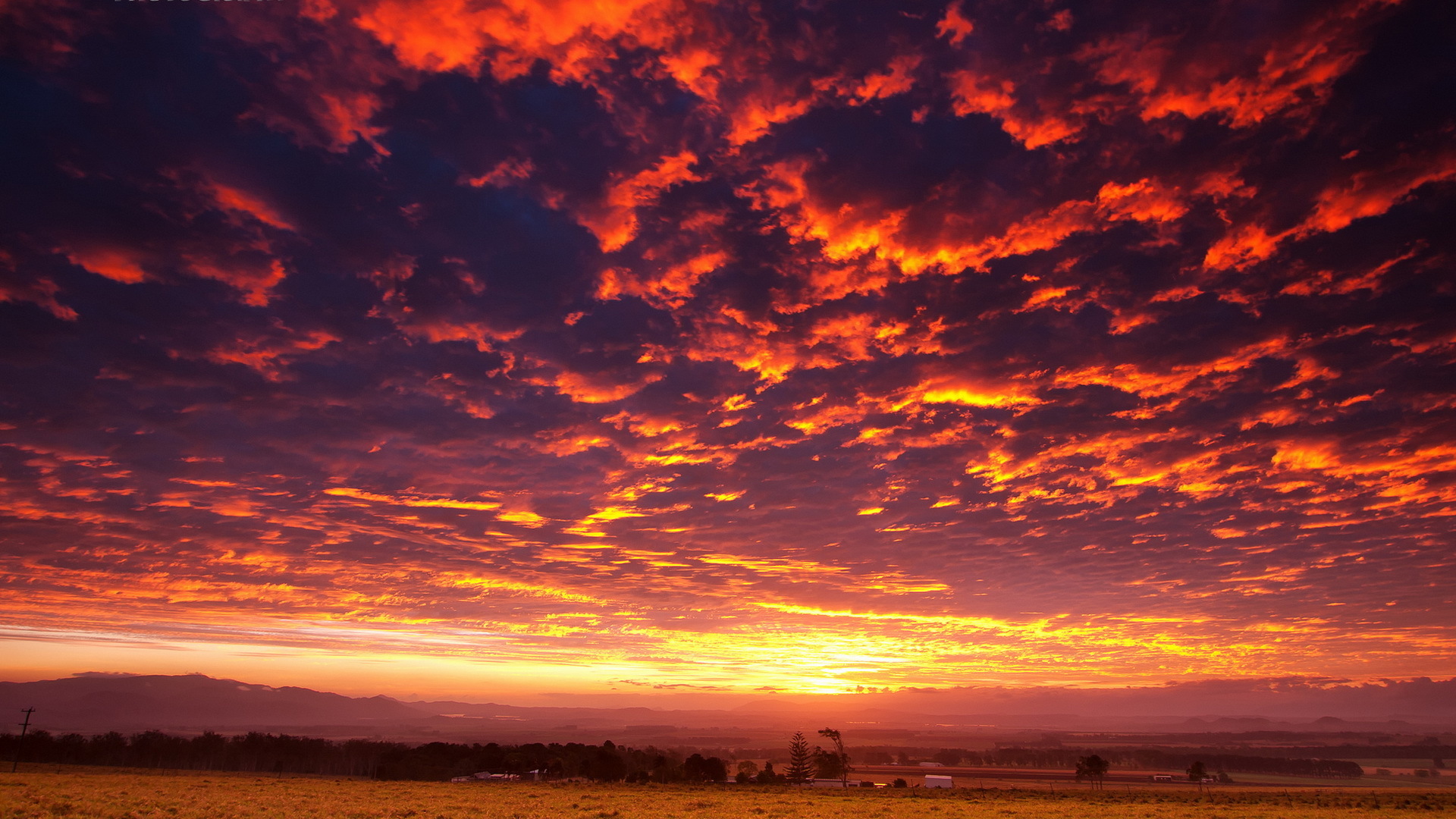 1920 x 1080 HD Wallpapers 2972